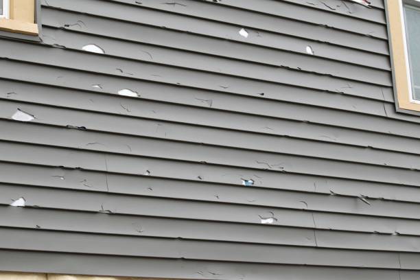 Best Aluminum Siding Installation  in Randolph, NE