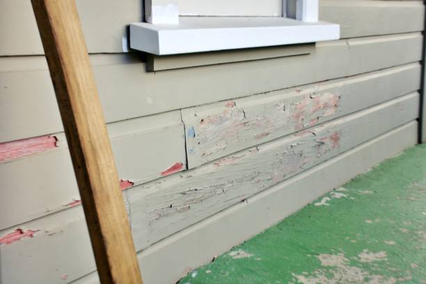 Affordable siding repair and maintenance services in Randolph, NE