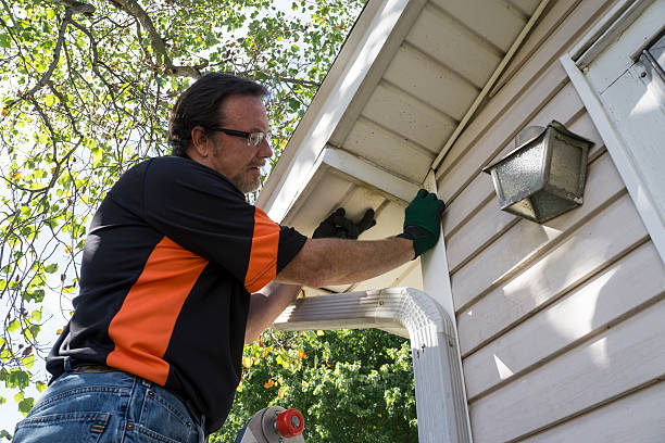 Best Siding Repair  in Randolph, NE